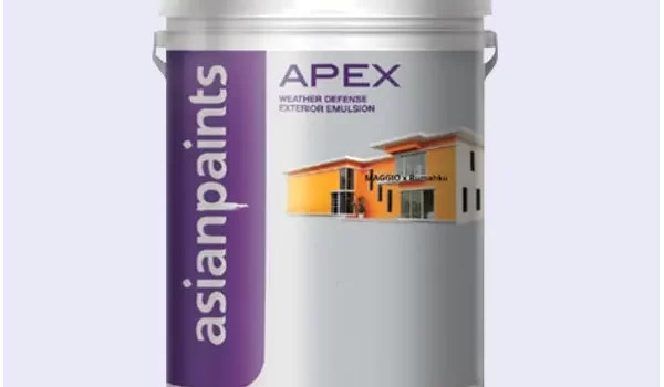 Cat Asianpaints apex